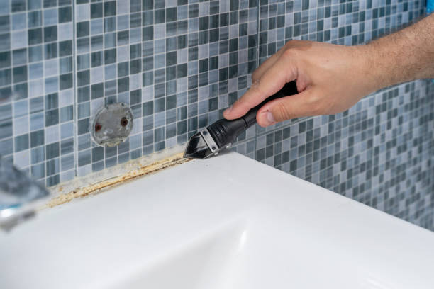Best Mold Remediation for Specific Building Types in Northeast Ithaca, NY
